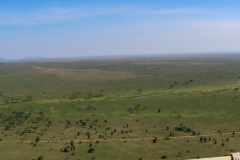 01_Serengeti